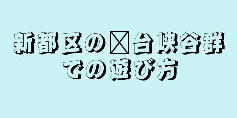 新都区の邢台峡谷群での遊び方