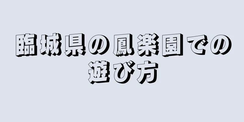 臨城県の鳳楽園での遊び方