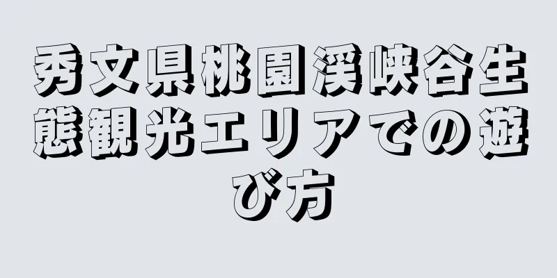 秀文県桃園渓峡谷生態観光エリアでの遊び方