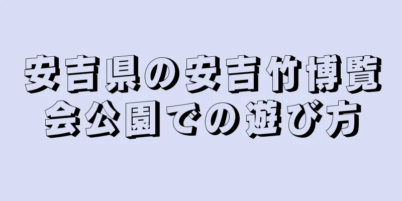 安吉県の安吉竹博覧会公園での遊び方
