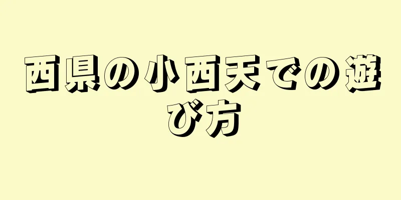 西県の小西天での遊び方