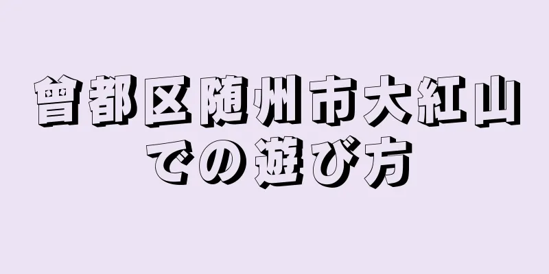 曾都区随州市大紅山での遊び方