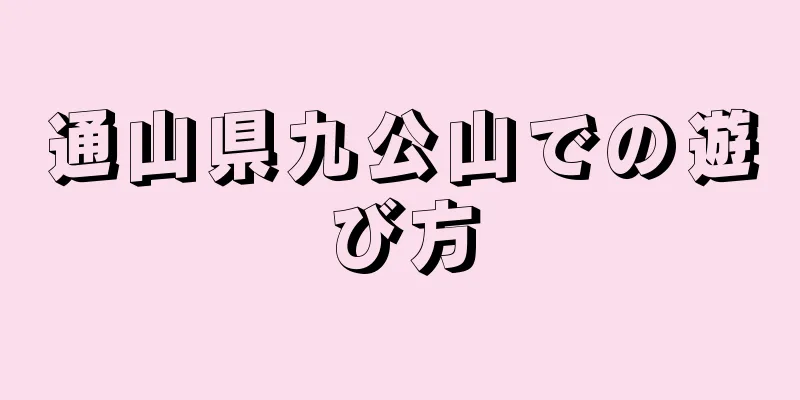 通山県九公山での遊び方