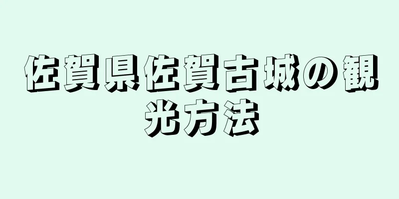 佐賀県佐賀古城の観光方法