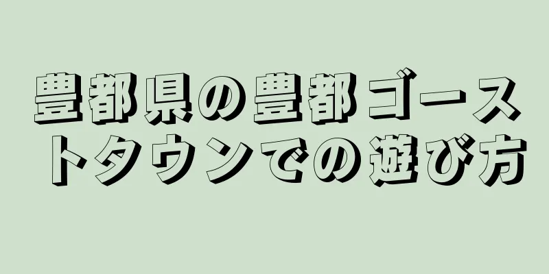 豊都県の豊都ゴーストタウンでの遊び方