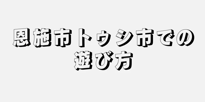 恩施市トゥシ市での遊び方