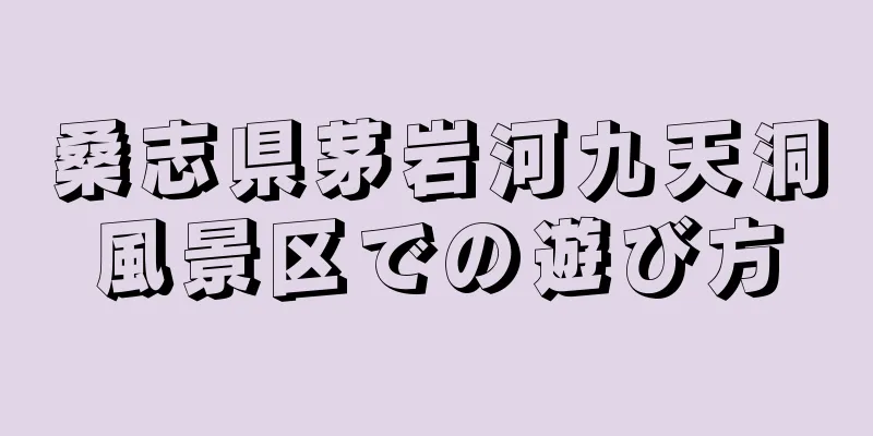 桑志県茅岩河九天洞風景区での遊び方