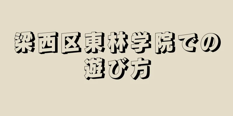梁西区東林学院での遊び方