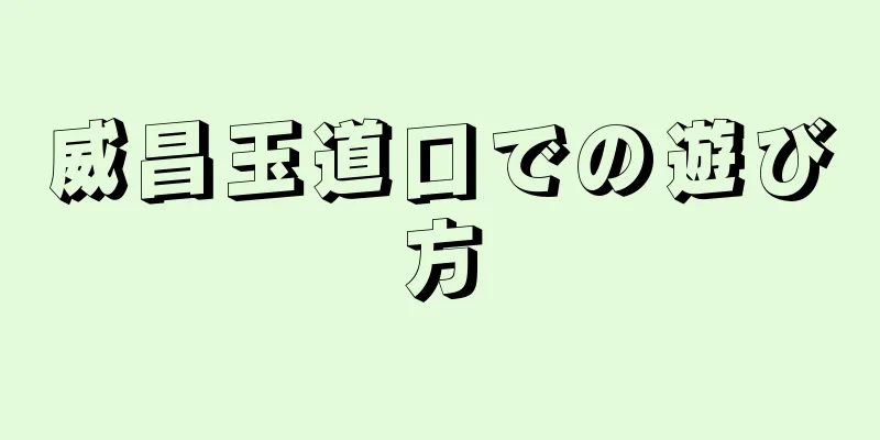 威昌玉道口での遊び方
