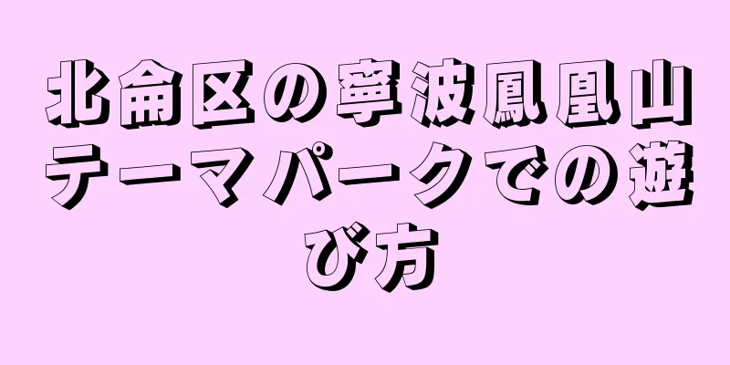 北侖区の寧波鳳凰山テーマパークでの遊び方