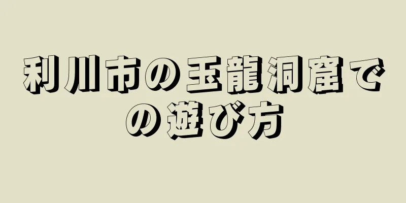 利川市の玉龍洞窟での遊び方