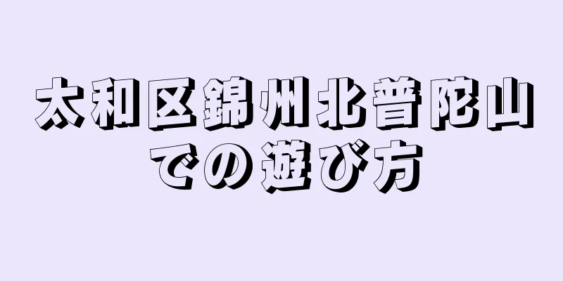 太和区錦州北普陀山での遊び方