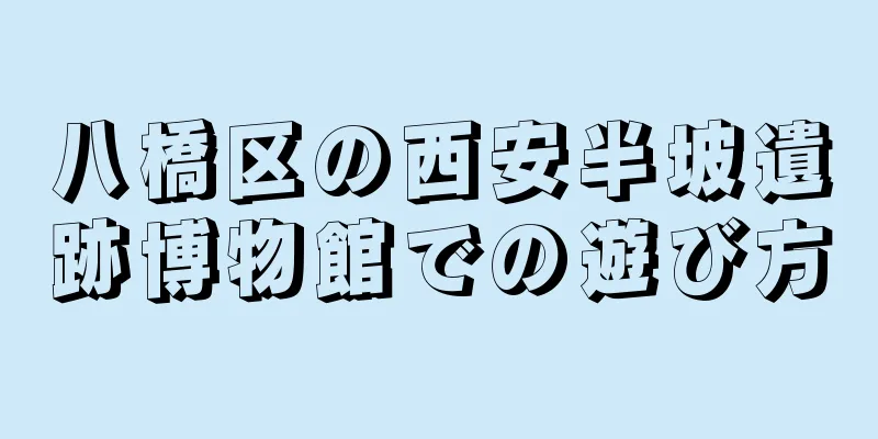 八橋区の西安半坡遺跡博物館での遊び方