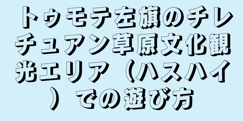 トゥモテ左旗のチレチュアン草原文化観光エリア（ハスハイ）での遊び方