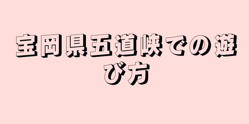宝岡県五道峡での遊び方