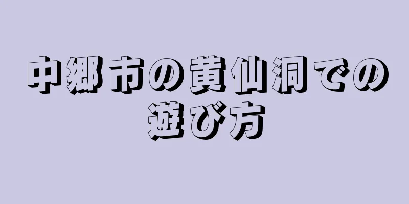 中郷市の黄仙洞での遊び方