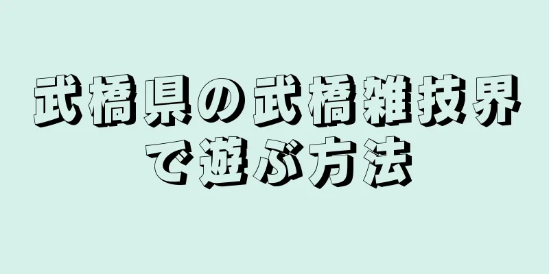 武橋県の武橋雑技界で遊ぶ方法