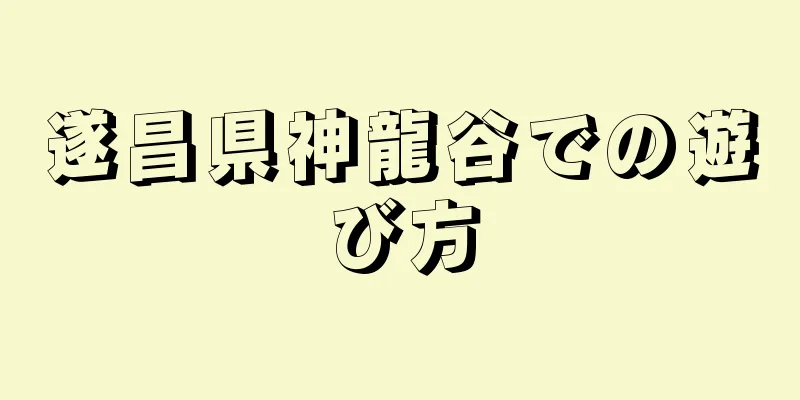 遂昌県神龍谷での遊び方