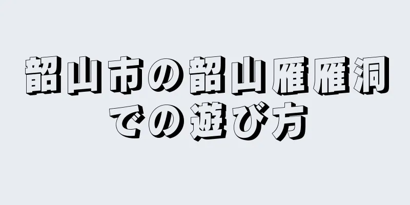 韶山市の韶山雁雁洞での遊び方