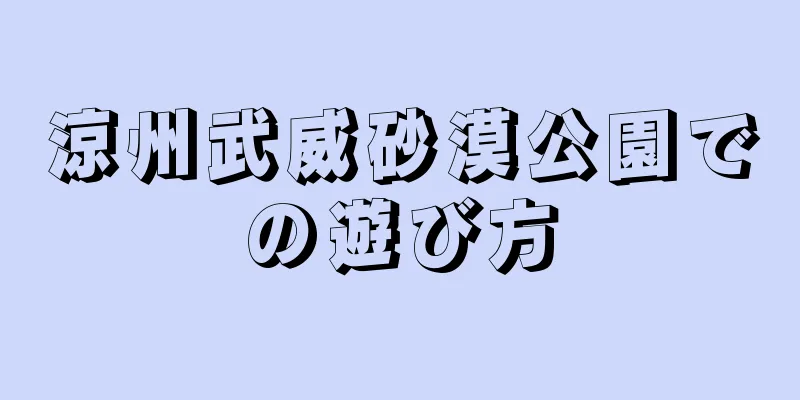 涼州武威砂漠公園での遊び方