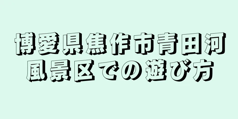 博愛県焦作市青田河風景区での遊び方
