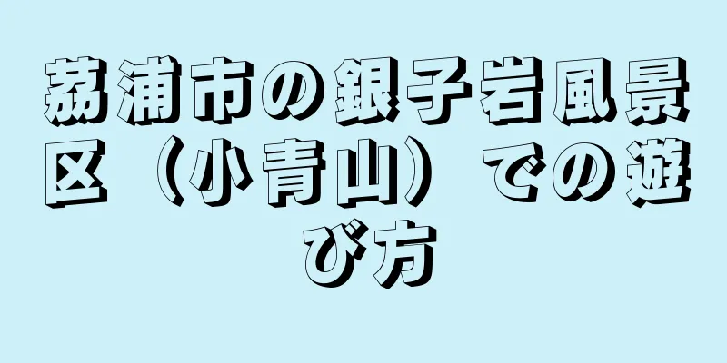 茘浦市の銀子岩風景区（小青山）での遊び方