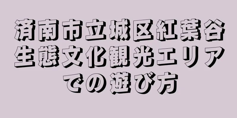 済南市立城区紅葉谷生態文化観光エリアでの遊び方