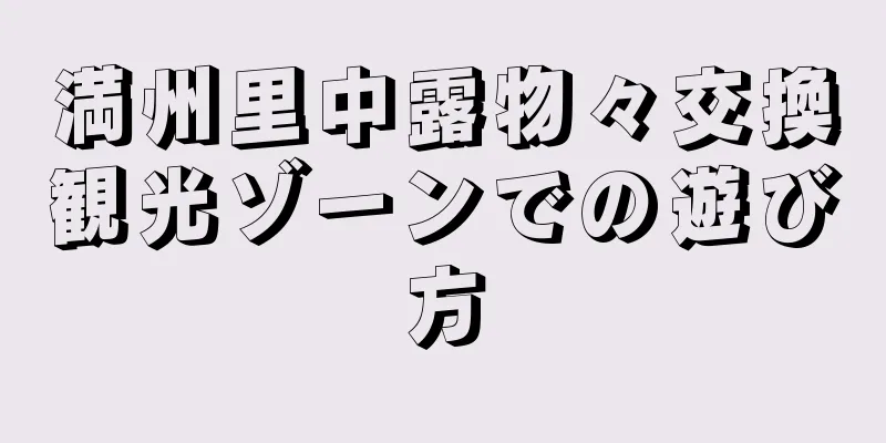 満州里中露物々交換観光ゾーンでの遊び方