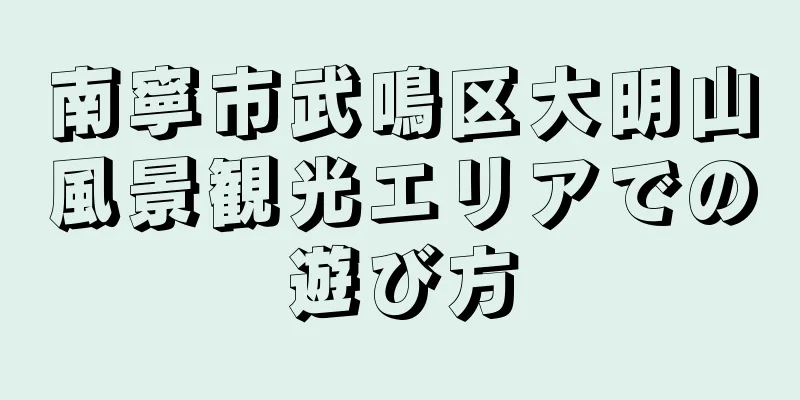 南寧市武鳴区大明山風景観光エリアでの遊び方