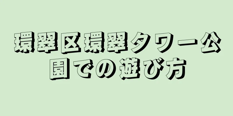 環翠区環翠タワー公園での遊び方