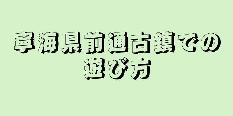 寧海県前通古鎮での遊び方