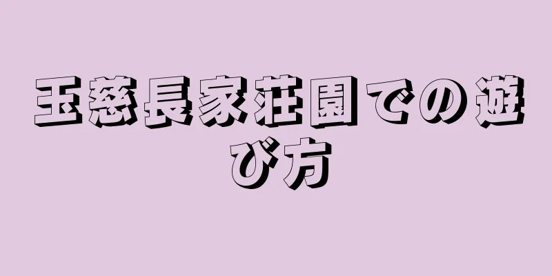 玉慈長家荘園での遊び方
