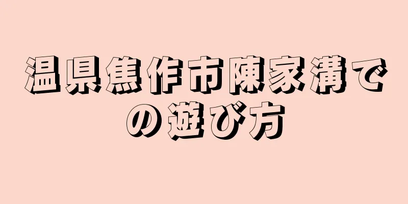 温県焦作市陳家溝での遊び方