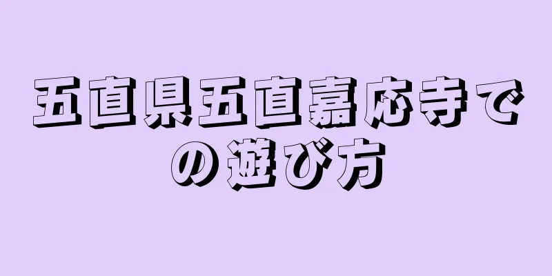 五直県五直嘉応寺での遊び方