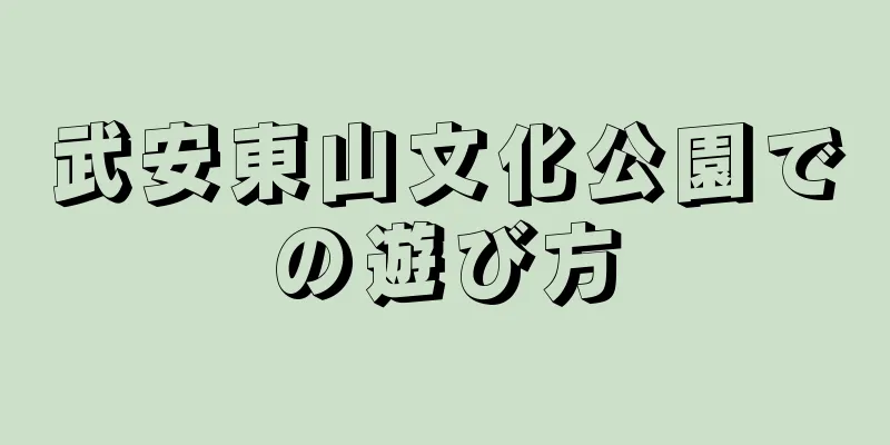 武安東山文化公園での遊び方