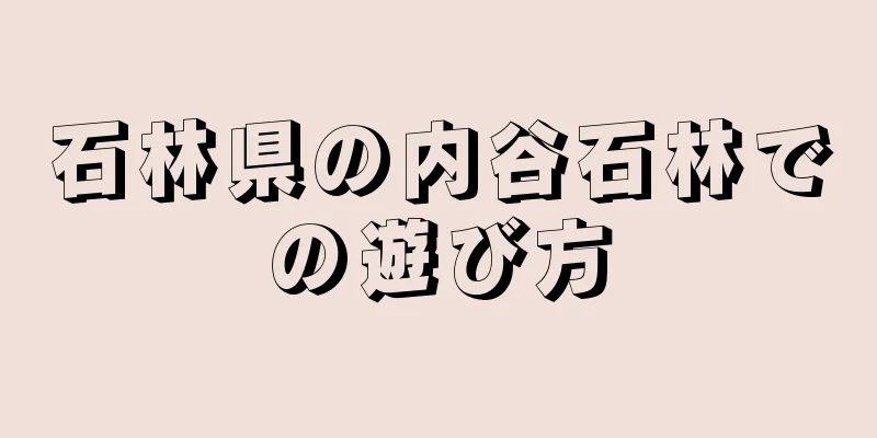 石林県の内谷石林での遊び方