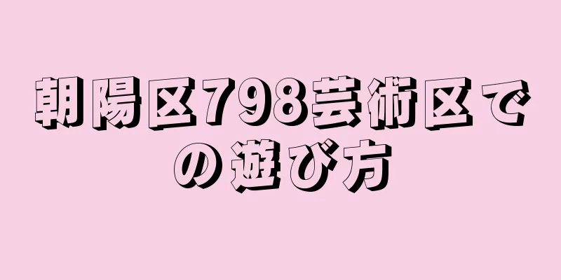 朝陽区798芸術区での遊び方