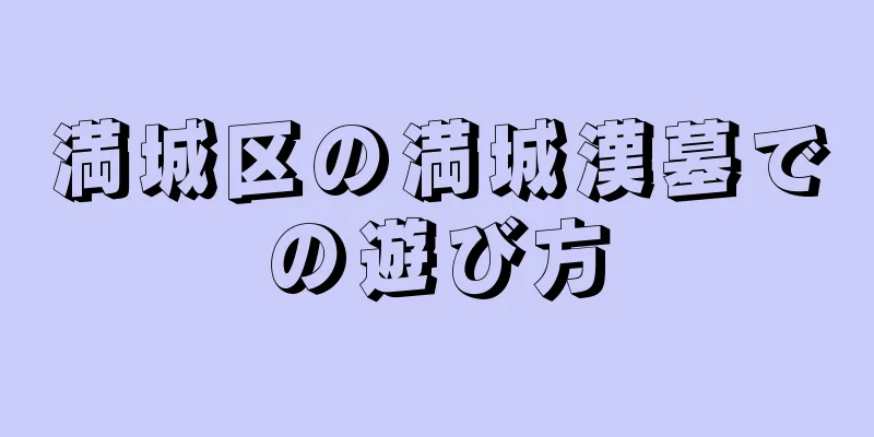 満城区の満城漢墓での遊び方