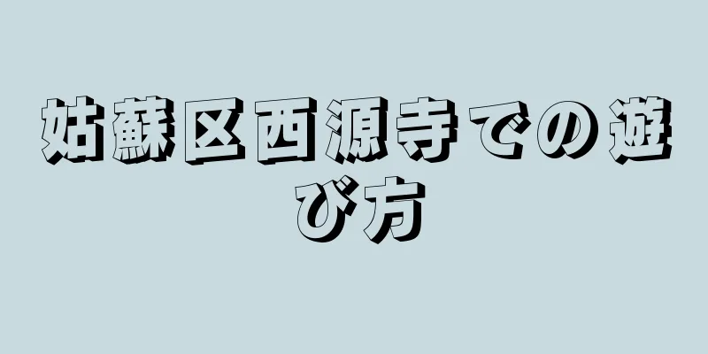 姑蘇区西源寺での遊び方