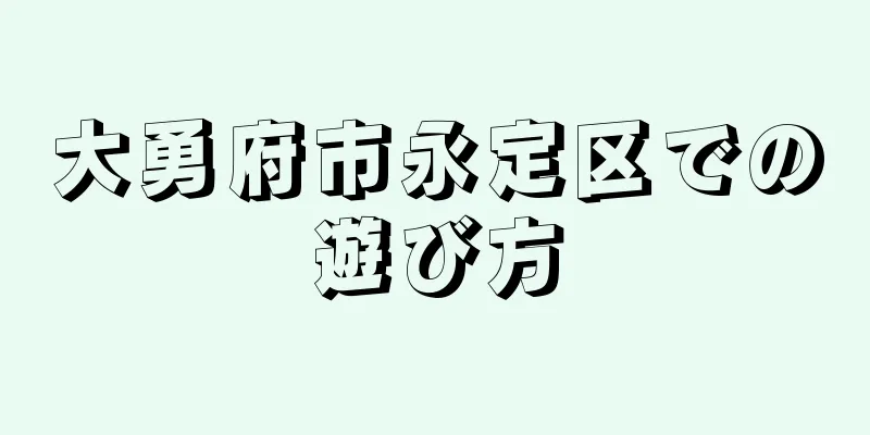 大勇府市永定区での遊び方