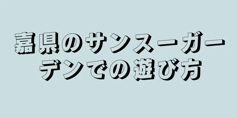 嘉県のサンスーガーデンでの遊び方