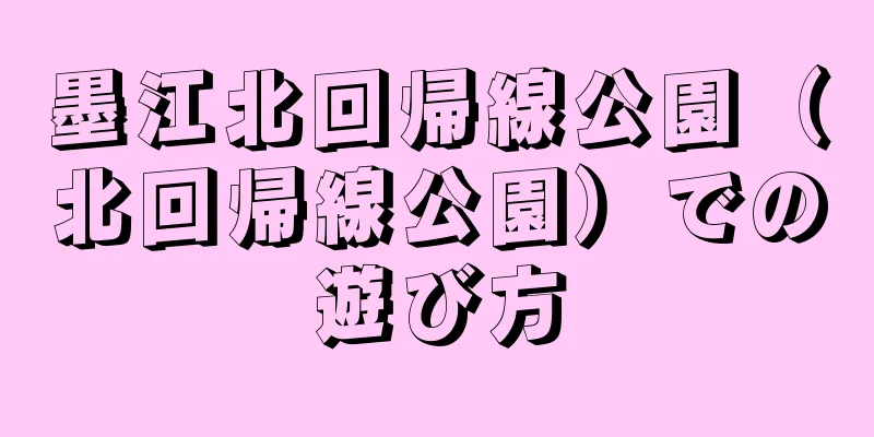 墨江北回帰線公園（北回帰線公園）での遊び方