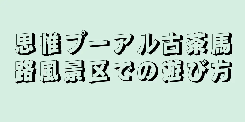 思惟プーアル古茶馬路風景区での遊び方