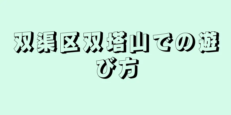 双渠区双塔山での遊び方