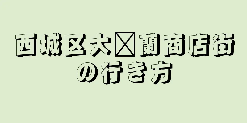 西城区大树蘭商店街の行き方