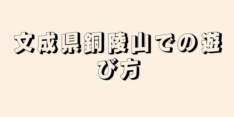 文成県銅陵山での遊び方