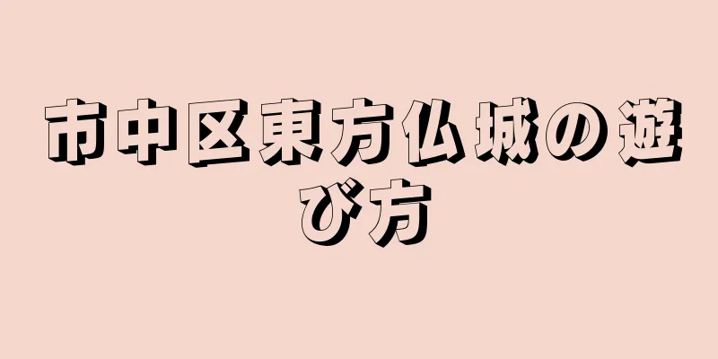 市中区東方仏城の遊び方