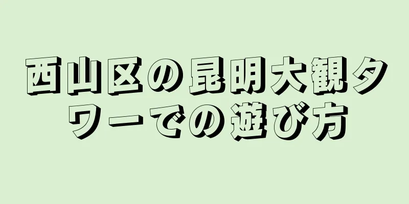 西山区の昆明大観タワーでの遊び方