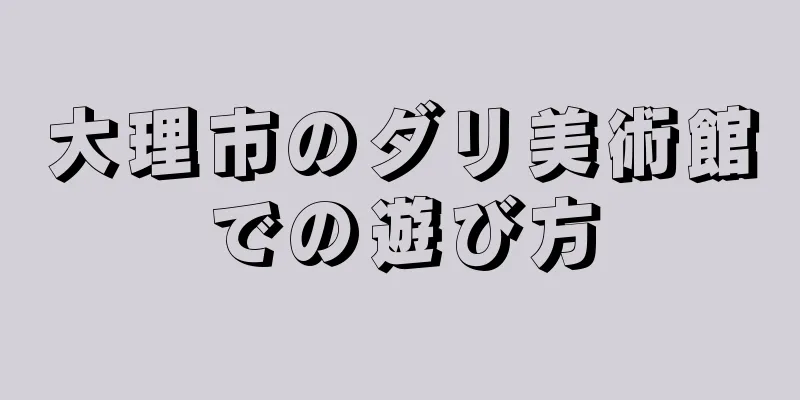 大理市のダリ美術館での遊び方