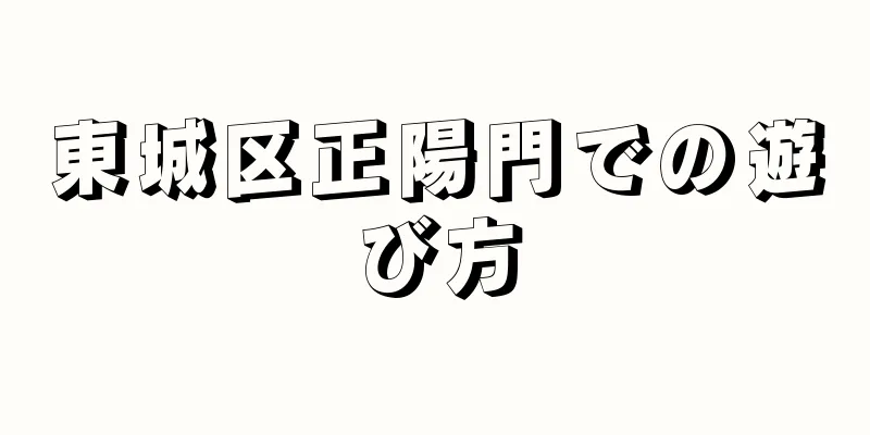 東城区正陽門での遊び方